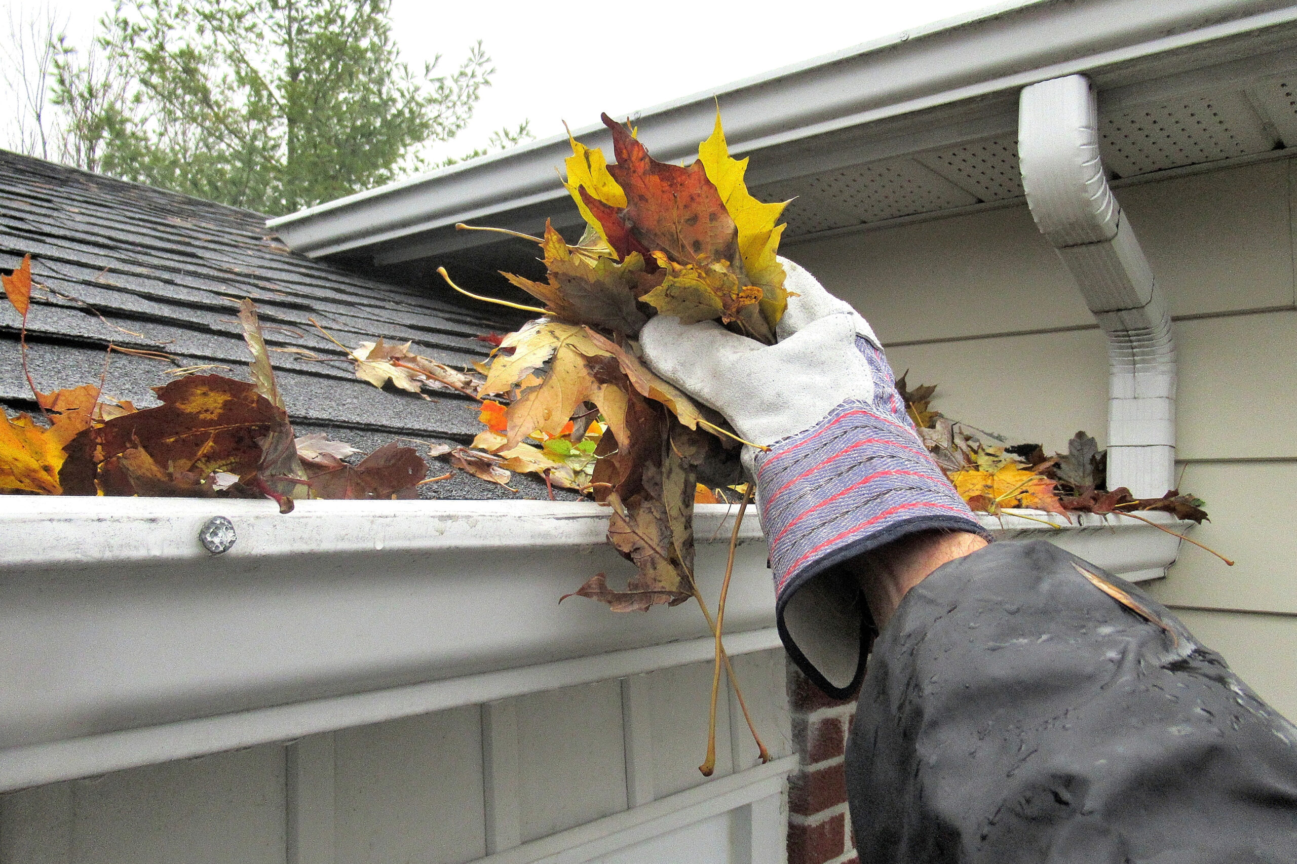 Homeowner on ladder scooping wet leaves from clogged gutter by hand — dangerous and frustrating