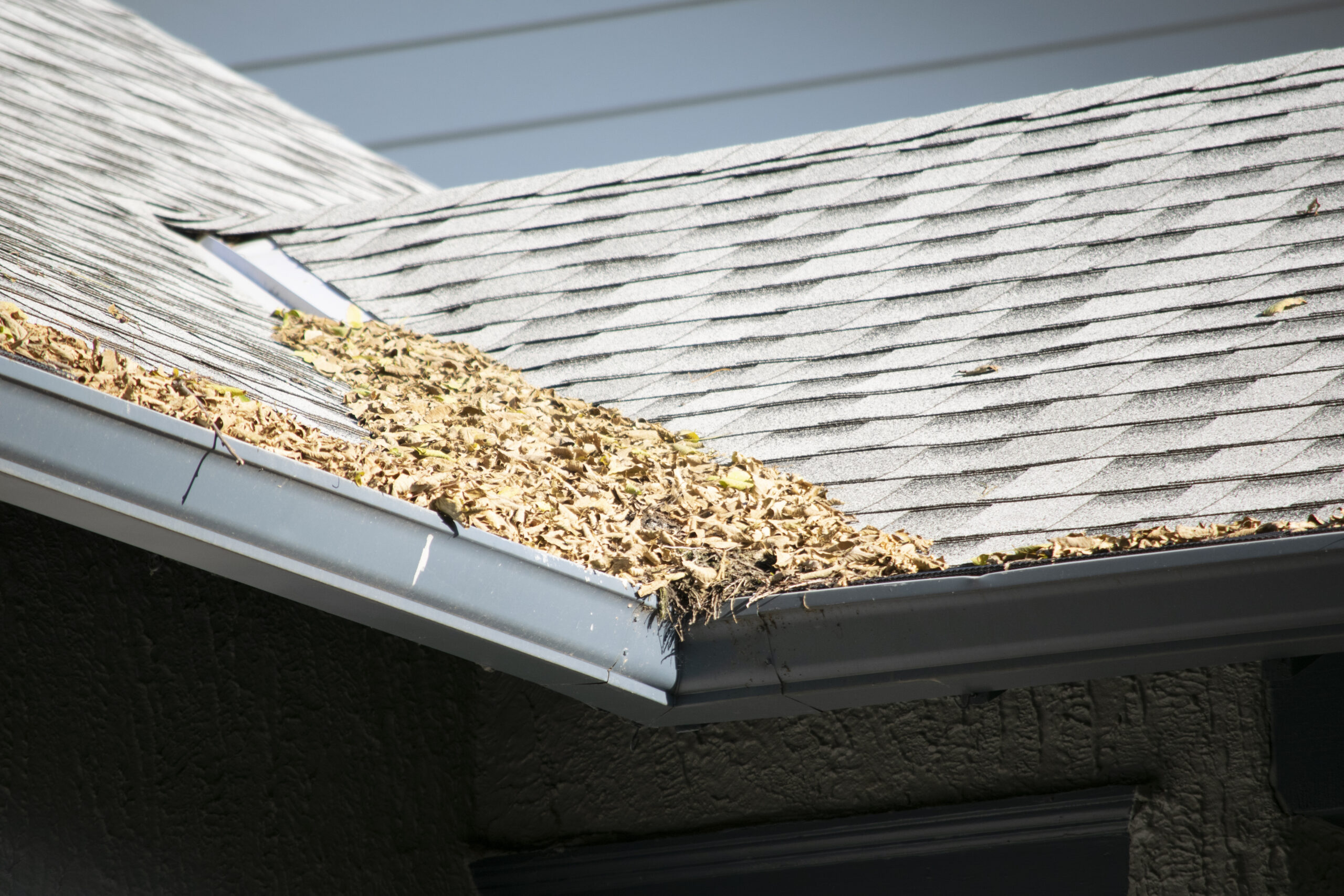 Roof and gutter system on a residential home in Gallatin Tennessee