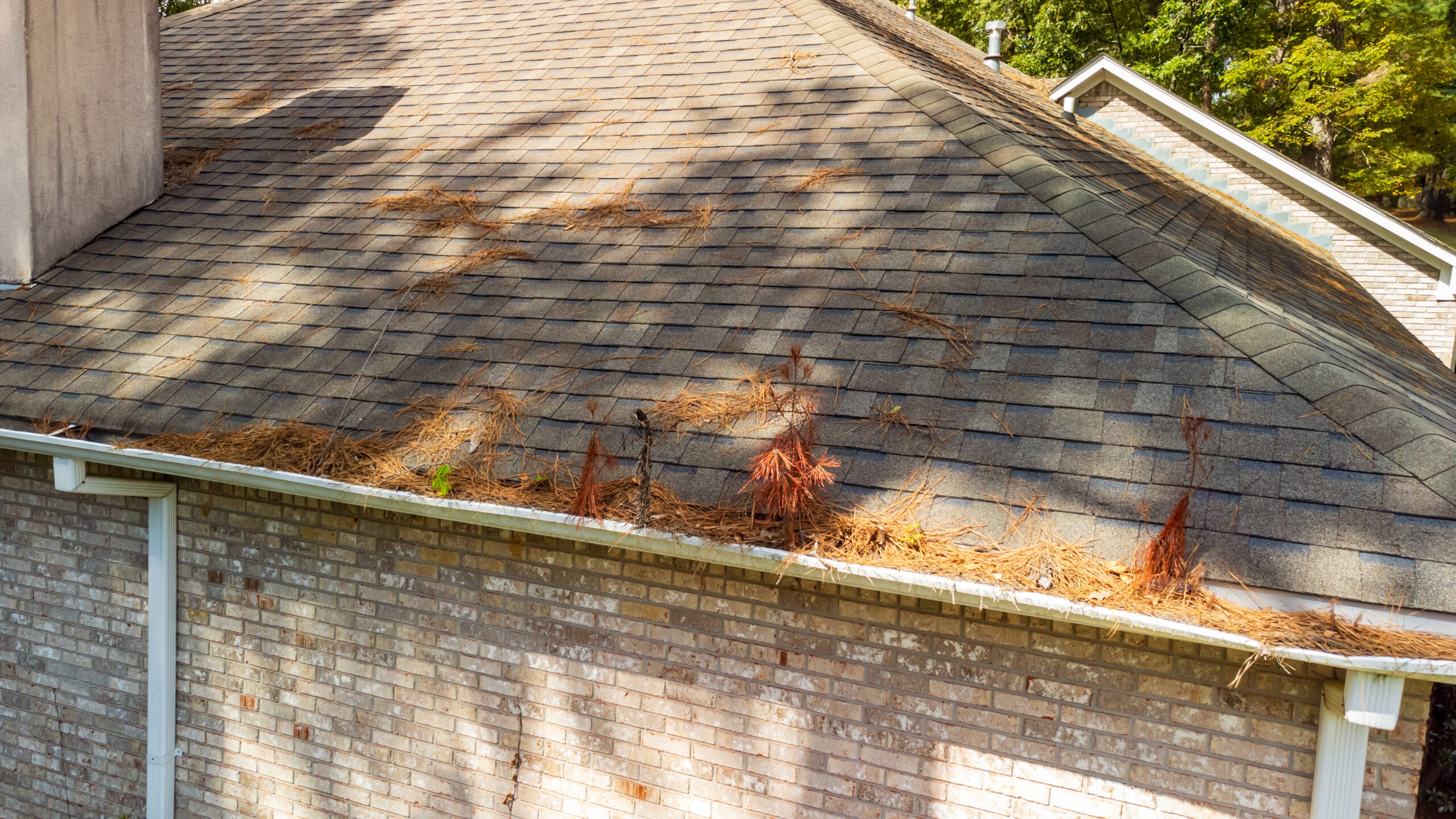 Gutter full of leaves and debris on a Murfreesboro Tennessee home