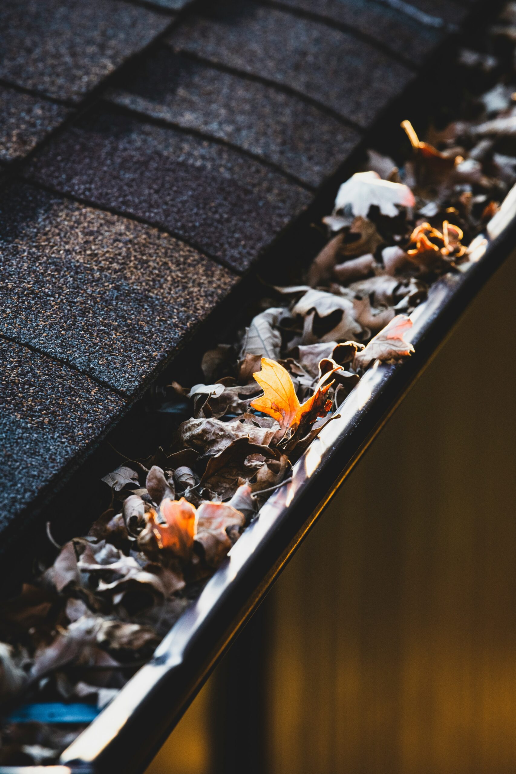 Leaves and debris clogging gutters on a Smyrna Tennessee home