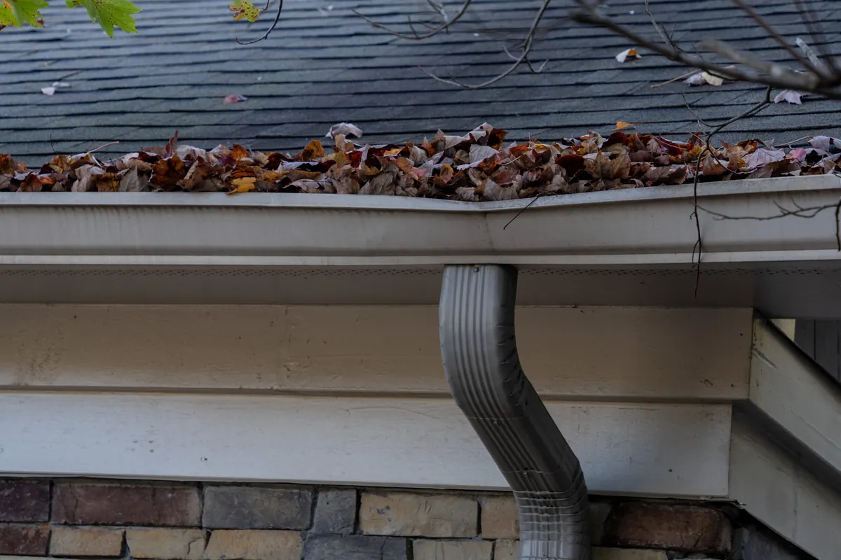 Clogged gutter filled with leaves, shingle grit, and debris blocking water flow on a Nashville home